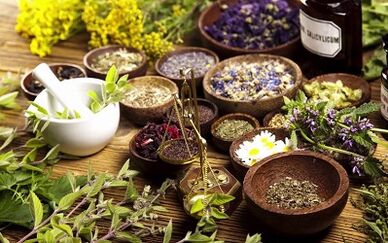 Herbes pour l'agrandissement du pénis